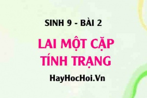 Lai một cặp tính trạng là gì? Thế nào là lai một cặp tính trạng? Thí nghiệm của Menđen và giải thích kết quả - Sinh 9 bài 2
